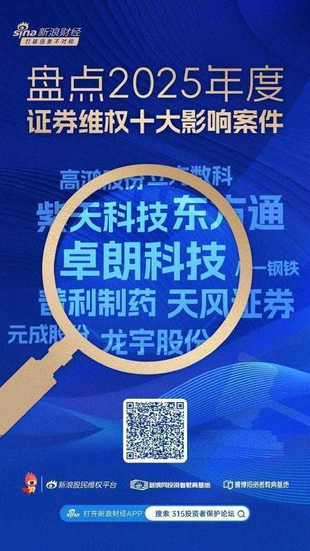  资本市场监管趋严，2025年证券维权十大案件深度剖析；资金占用与财务造假并重，投资者权益守护再升级。 股票财经