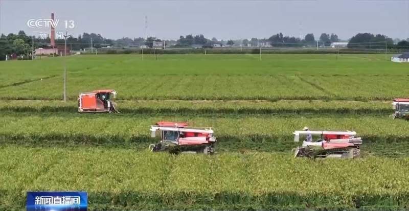  我国科学家克隆水稻长寿基因；多年生特性重现田间 新闻