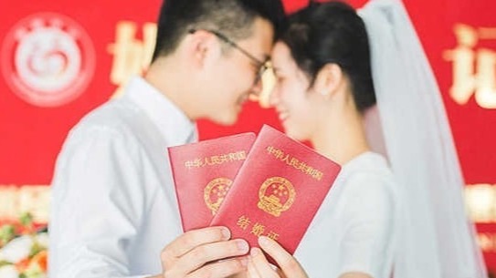 2026年宏观趋势洞察:婚育支持体系下的登记数据回升逻辑 新闻