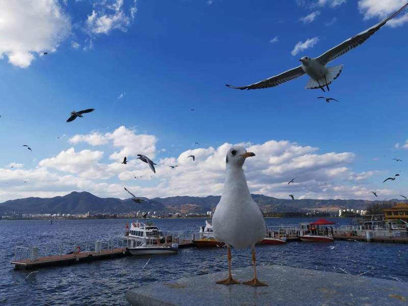 2026年宏观趋势洞察:婚育支持体系下的登记数据回升逻辑 新闻