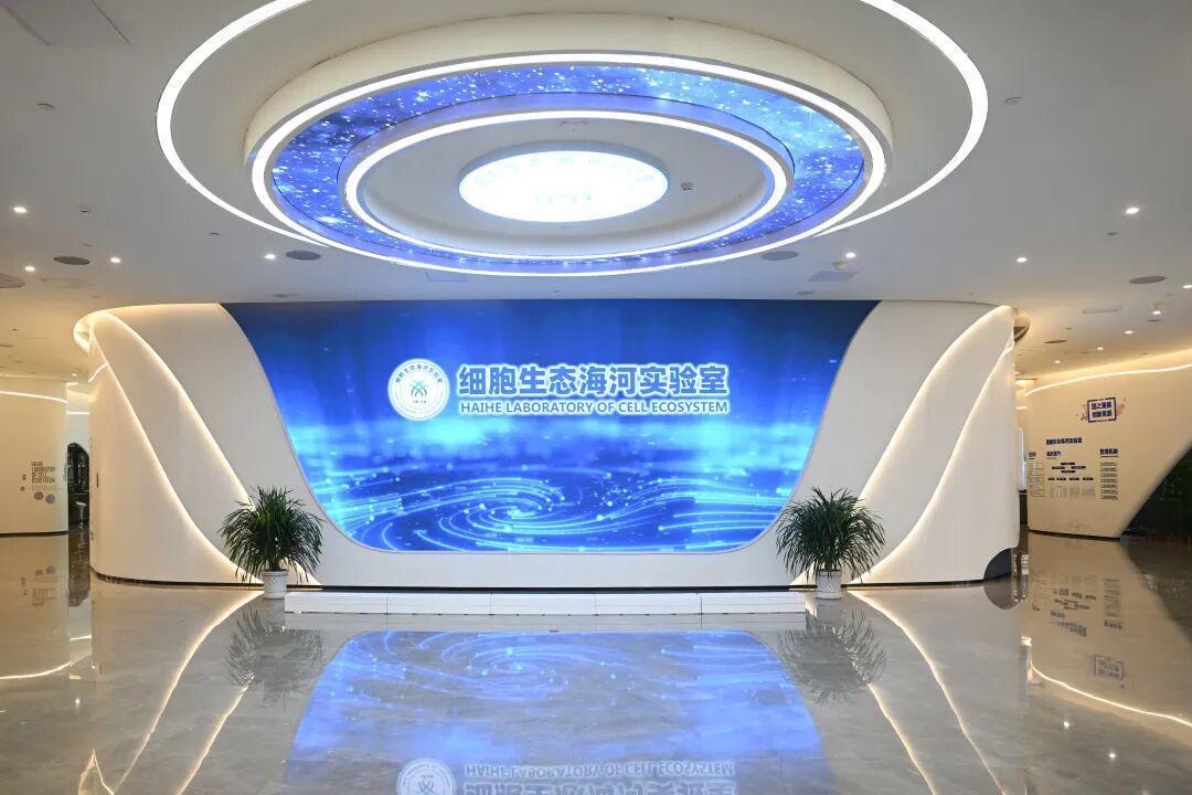  从一汽到细胞谷：无锡产业突围的三个技术赛道 新闻