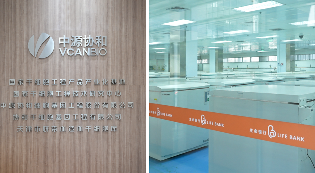  从一汽到细胞谷：无锡产业突围的三个技术赛道 新闻