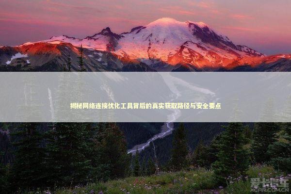 揭秘网络连接优化工具背后的真实获取路径与安全要点 IT技术