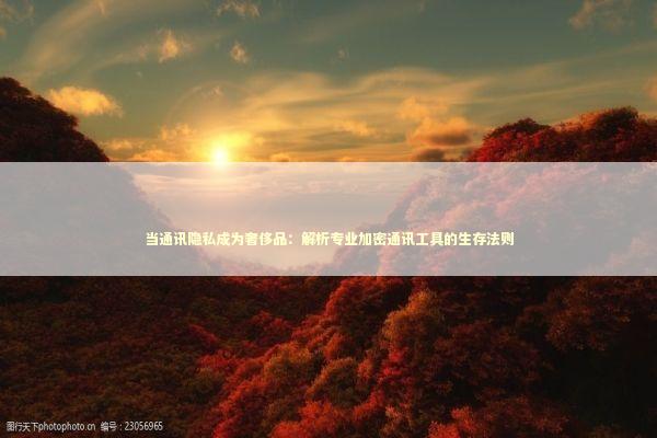 当通讯隐私成为奢侈品：解析专业加密通讯工具的生存法则 IT技术