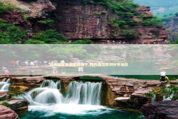 别再被那些假官网骗了,我的血泪教训分享给你 IT技术