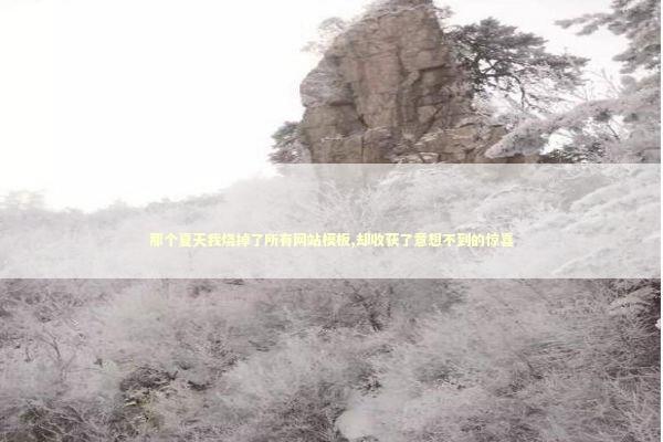 那个夏天我烧掉了所有网站模板,却收获了意想不到的惊喜 IT技术