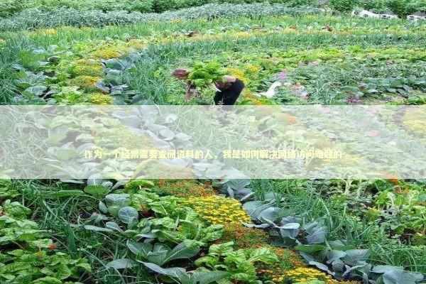 作为一个经常需要查阅资料的人，我是如何解决网络访问难题的 IT技术