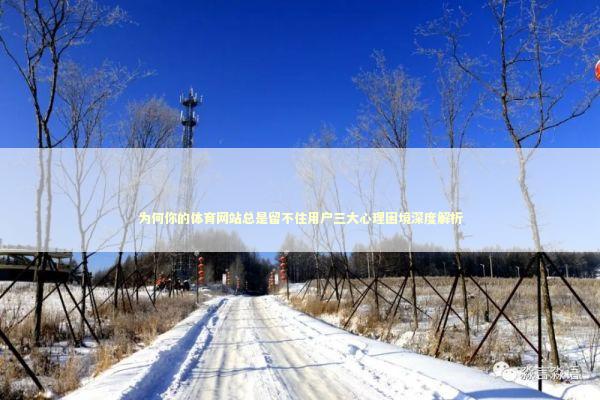 为何你的体育网站总是留不住用户三大心理困境深度解析 IT技术