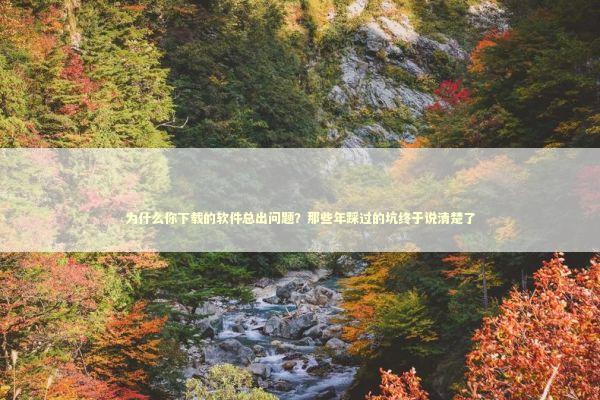 为什么你下载的软件总出问题？那些年踩过的坑终于说清楚了 IT技术