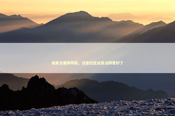 逃离流量崇拜后，这些社区反而活得更好了 娱乐新闻