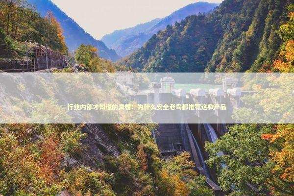 行业内部才知道的真相：为什么安全老鸟都推荐这款产品 IT技术