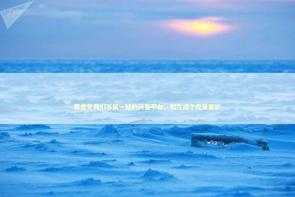 那些年我们不屑一顾的问答平台，如今成了流量富矿 IT技术