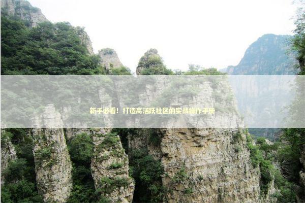 新手必看！打造高活跃社区的实战操作手册 企业服务